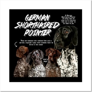 German Shorthaired Pointer Posters and Art